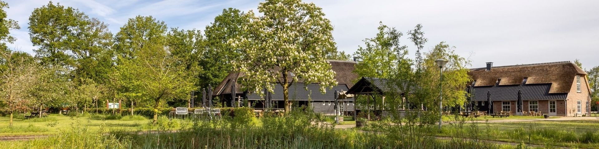 Vrijdagmiddagborrel
