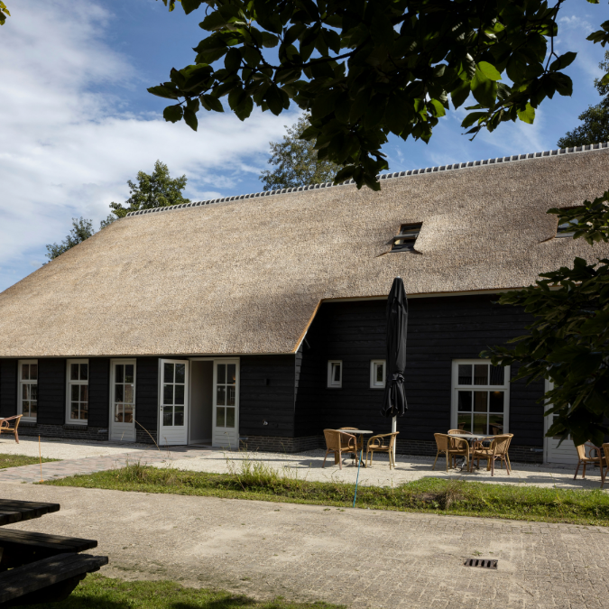 Vergaderen