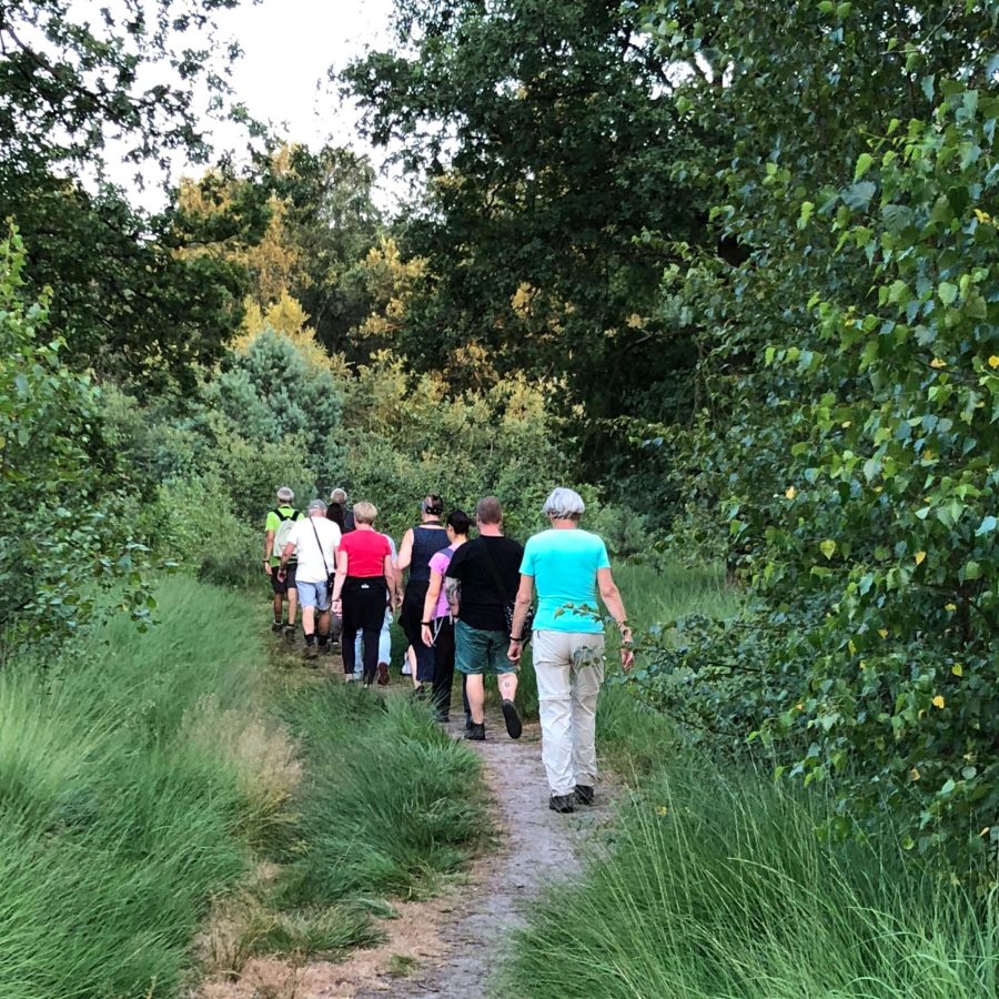 Wandelen tijdens je vergadering in de natuur